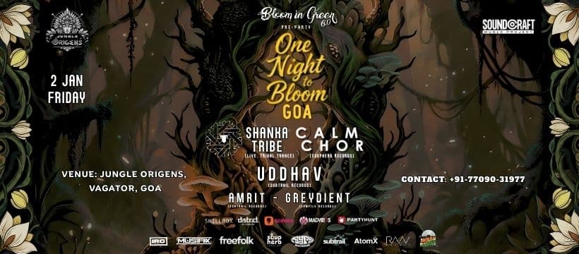 One Night To Bloom