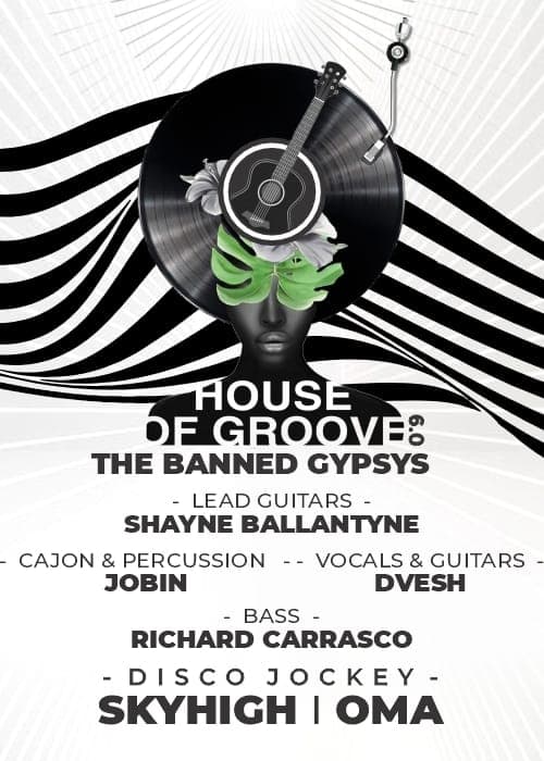House Of Groove 6.0